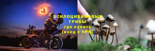 спиды Тутаев