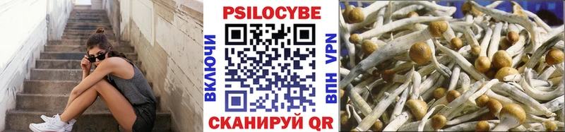 Купить  Белёв  Псилоцибиновые грибы MAGIC MUSHROOMS 
